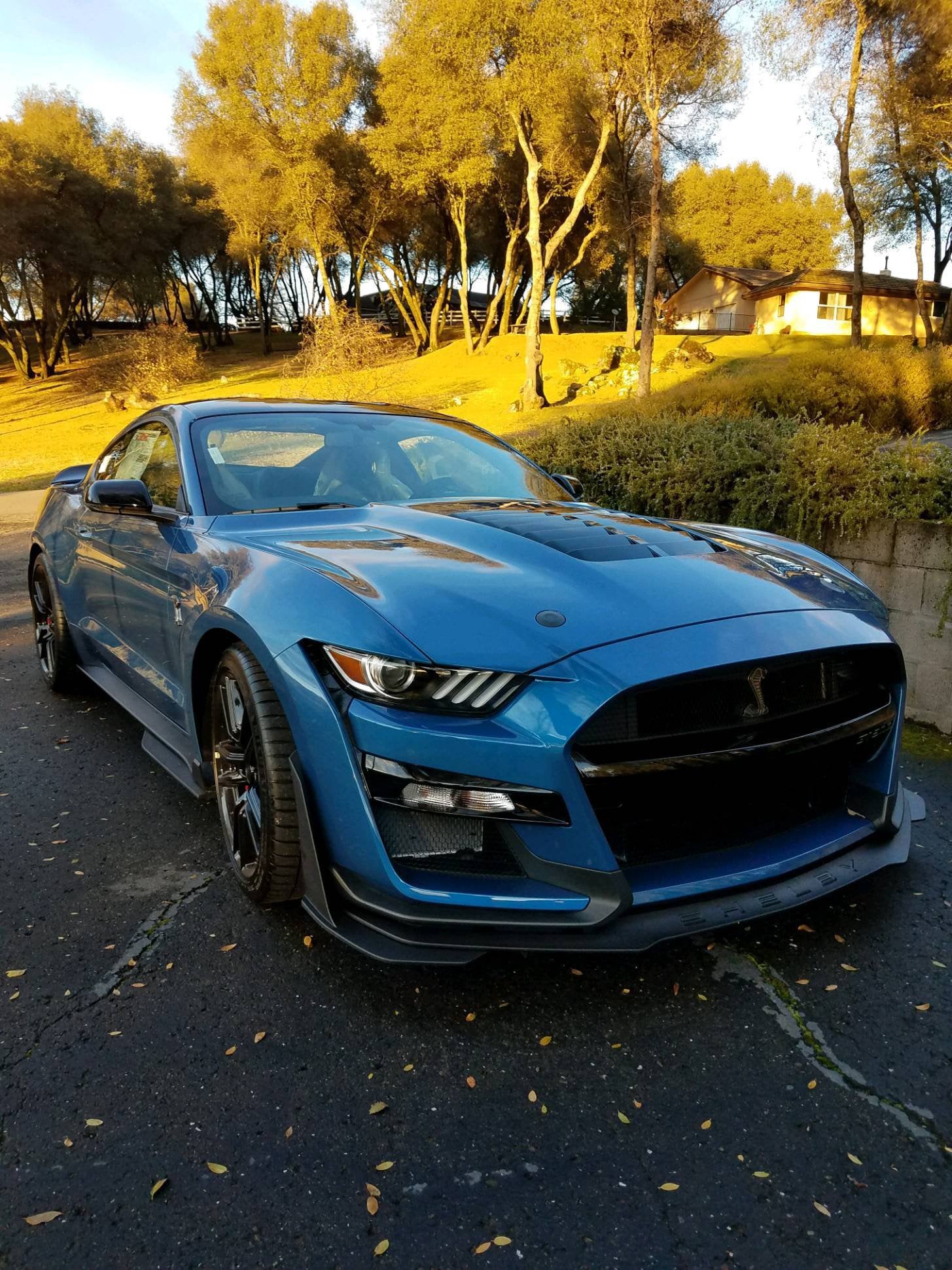 Not Sure of the Opinion of Mustang on this Sub, but Figured I’d share a Pic of the New Ride.