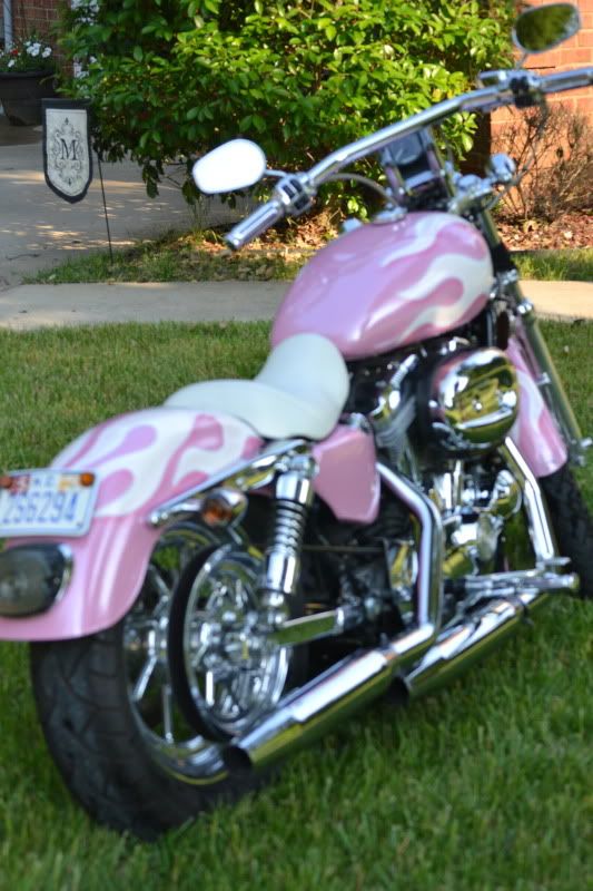 Pink 2005 Harley Davidson Sportster – Harley Davidson Forums