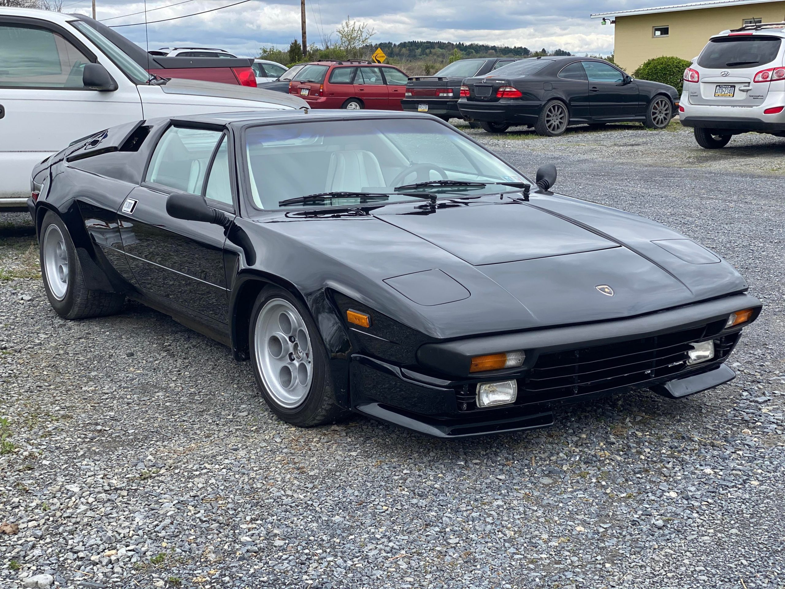 Lamborghini Jalpa (Got to detail this beauty today. Never been so satisfied.)