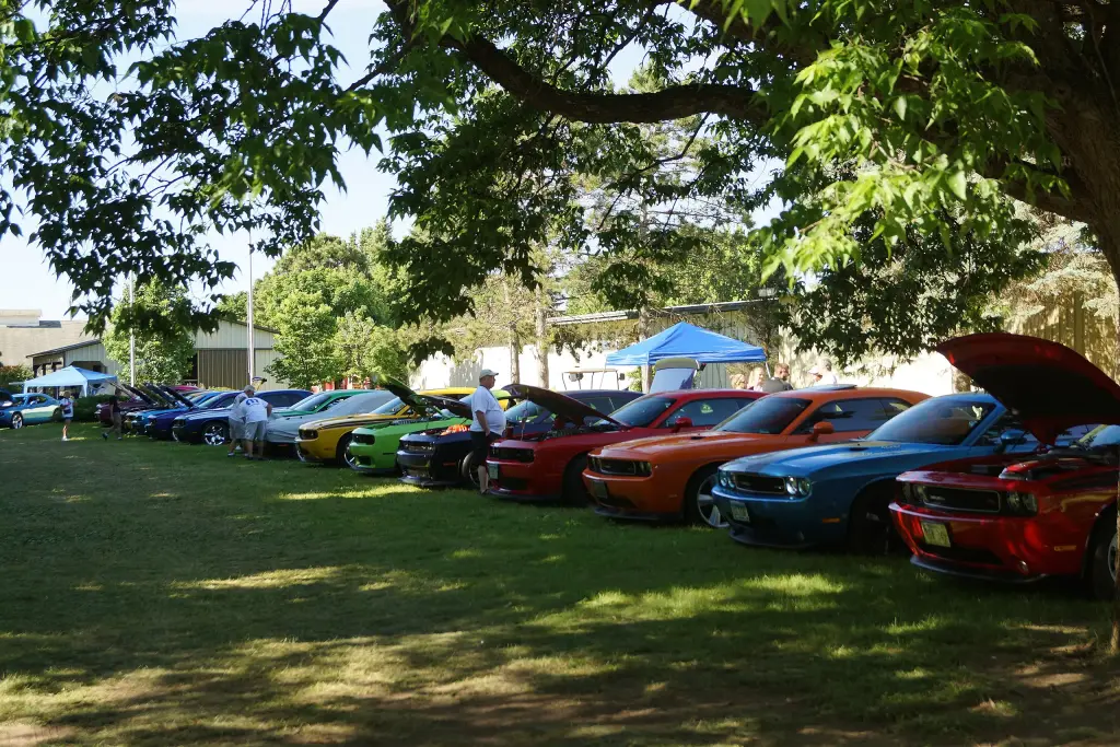 Dodge Challenger cars