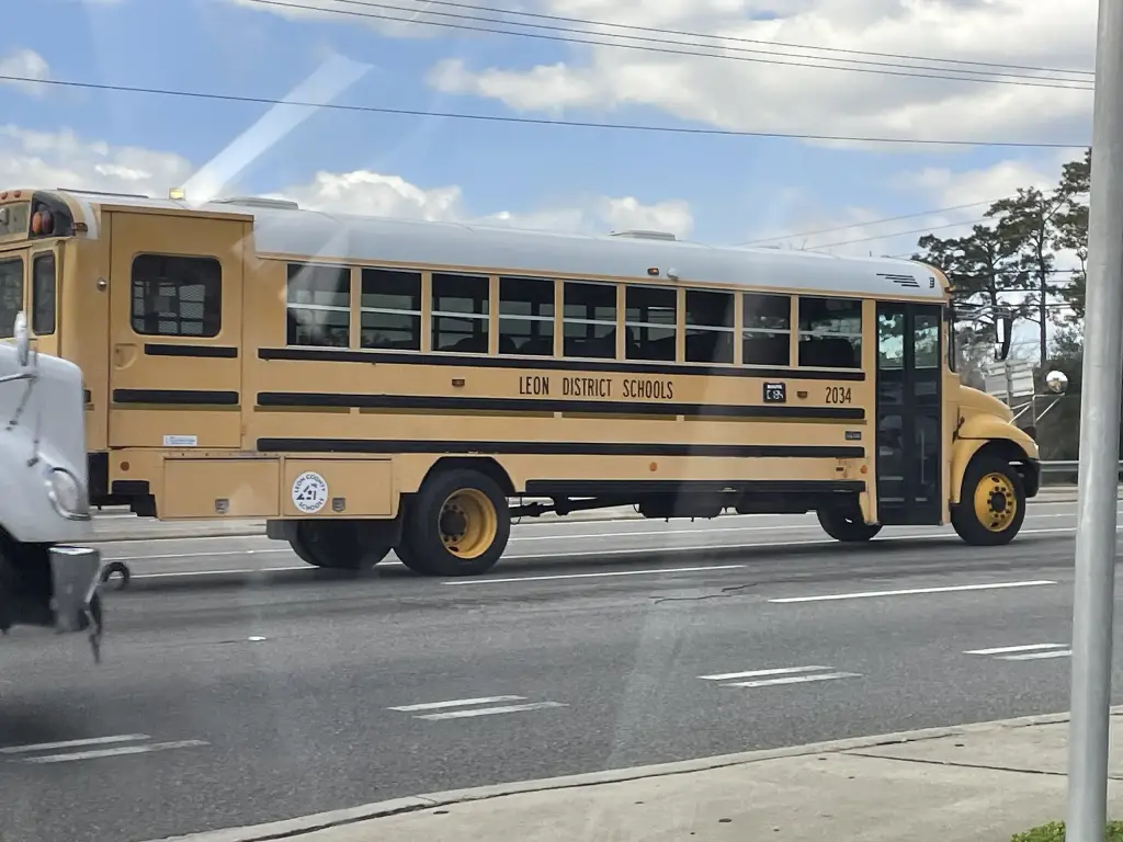 IC CE300 school bus