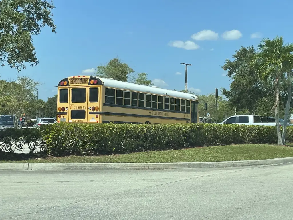 IC CE300 school bus