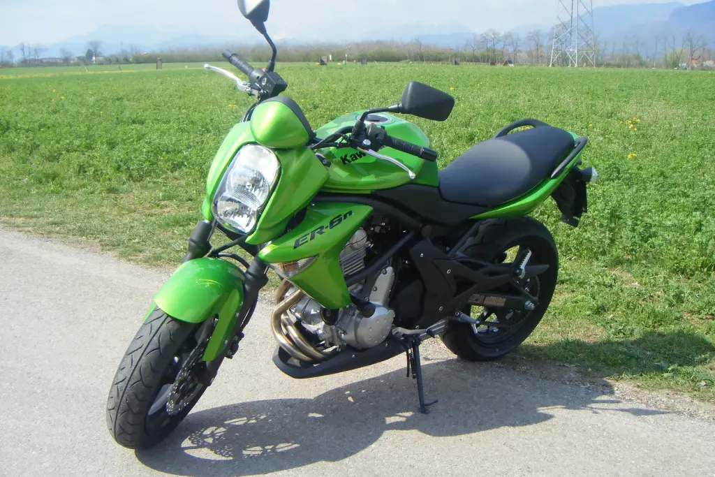 Kawasaki ER-6n 2008 in green