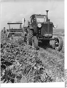 Mtz 5