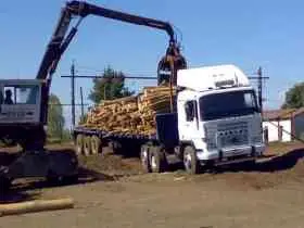 Pegaso 1234