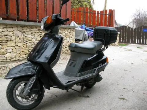 Yamaha beluga