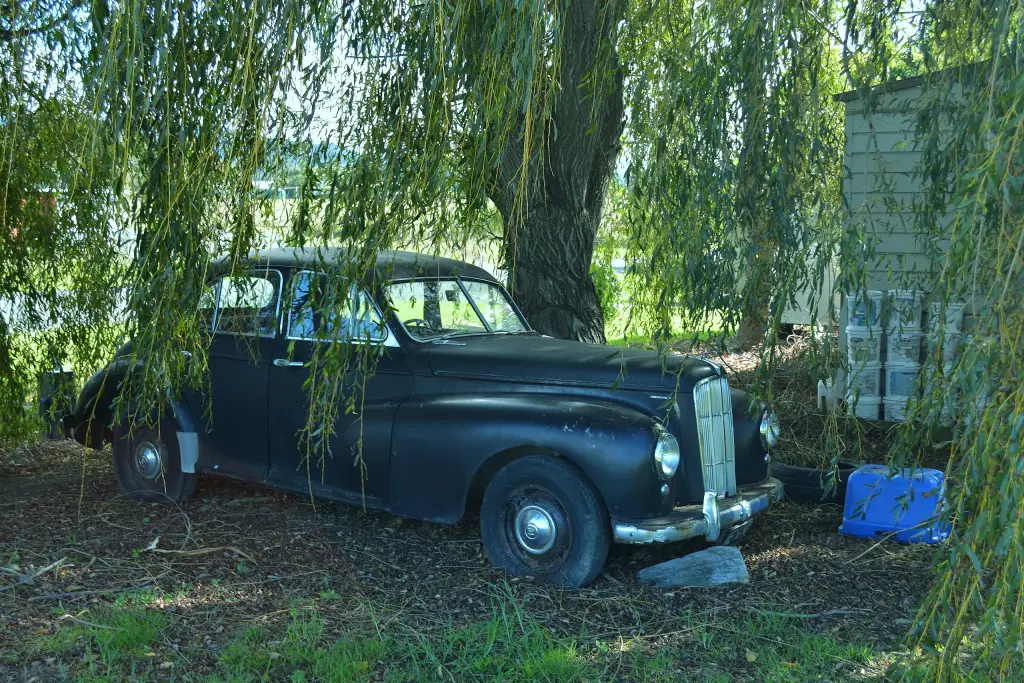 Morris Six
