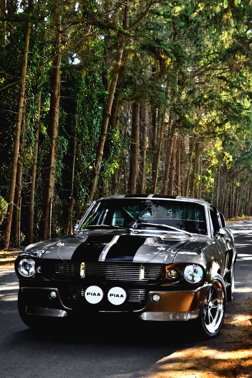 1967 Ford Mustang Shelby GT 500