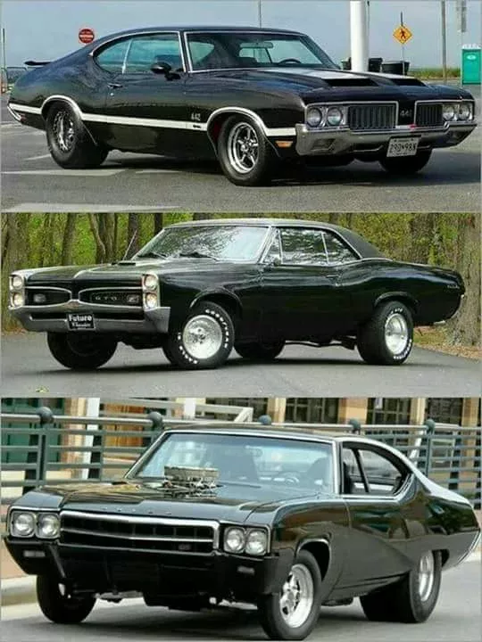 Photo: Top, Middle or Bottom?
