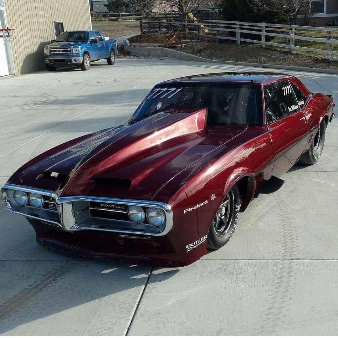 Classic Car on Instagram: “Wow #classiccar fans! This is one amazing #firebird owned by @ben.wilkinson.18007 ! TAG some #Pontiac lovers and share this beautiful bird!…”